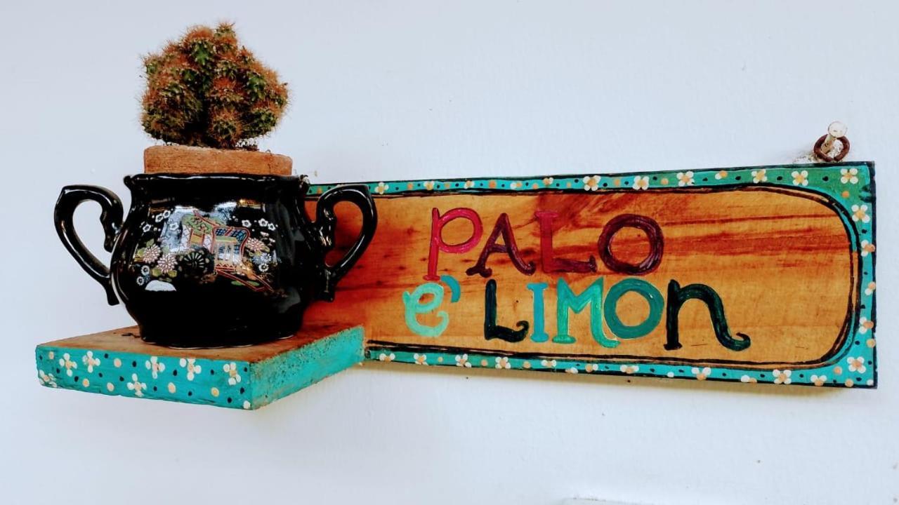 Hermoso Palomino Exterior foto